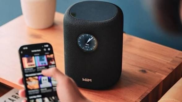 Wiim Sound Multiroom Smart Speaker (Black)