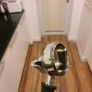 Rancilio Silvia V6 + DF83 Gen 2 grinder + accessories Image 6