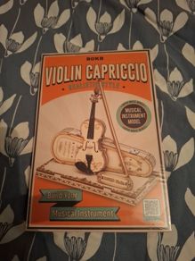 Violin Capriccio ROKR musical instrument model