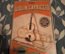 Violin Capriccio ROKR musical instrument model