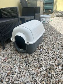 cat house