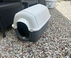 dog house