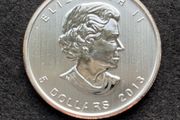 2013 Canadian 1 oz Silver Maple Leaf