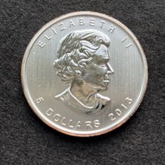 2013 Canadian 1 oz Silver Maple Leaf
