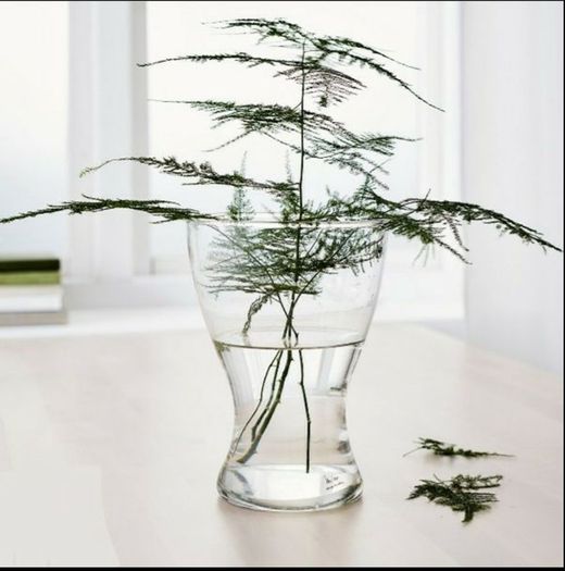 Ikea Vase
