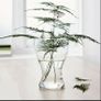 Ikea Vase Image 6