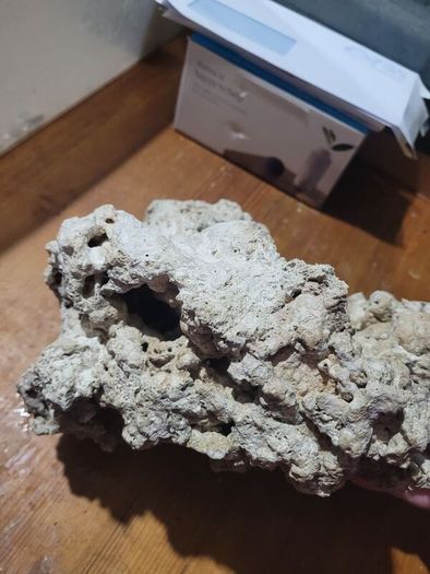 marine rocks