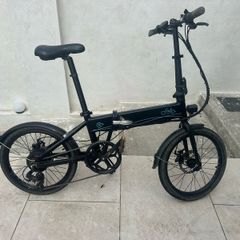 Fiido D4 Electric Bike