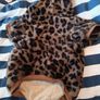 dog clothes Image 5