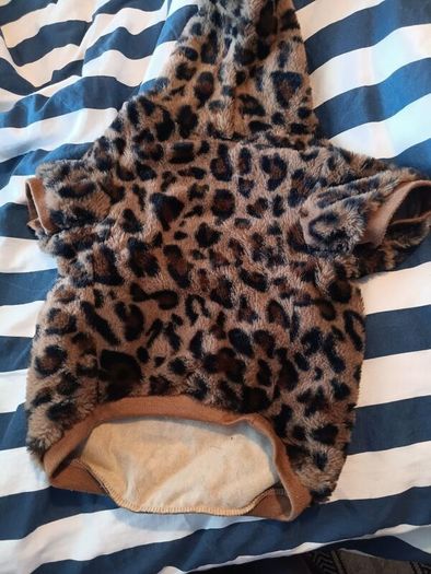dog clothes