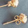 Earrings Image 2
