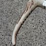 Vintage Swaine Hunting Whip Image 4