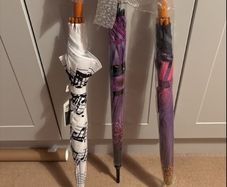Beautiful Walking Stick Unbrellas