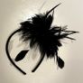 Fascinator Image 2