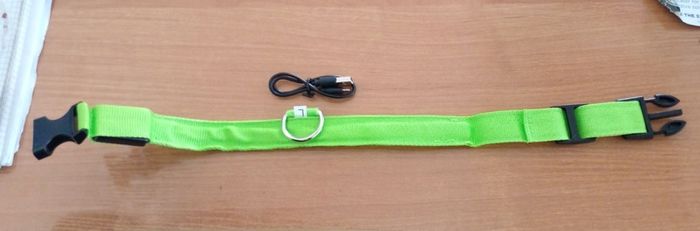 Glowing dog collar NEW