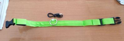 Glowing dog collar NEW