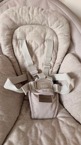 Nested willow baby swing