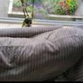 Three seater sofa couch Image 3