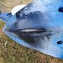 Kayak Image 4