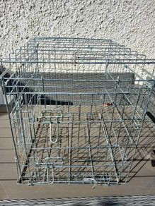 medium puppy training crate