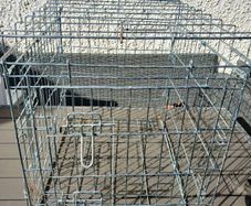 medium puppy training crate