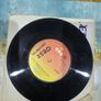 The Emotions I Dont Wanna Lose Your Love 7 inch single Image 2