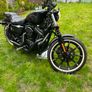 Harley Davidson sportster 883 Iron Image 5