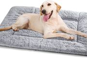 Dog Bed Large Washable, Plush Pet Cat Beds Cushion Mattress, Soft Warm Dog Mat Pad for Medium Large Dogs