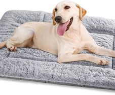 Dog Bed Large Washable, Plush Pet Cat Beds Cushion Mattress, Soft Warm Dog Mat Pad for Medium Large Dogs
