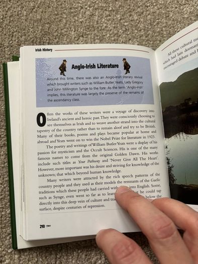 Irish History: From Prehistoric Times to the Present Day by Seamas Mac Annaidh