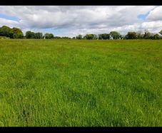 Silage Ground