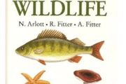 Collins British wildlife