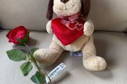 Dog teddy and rose