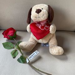 Valentine Dog teddy and rose