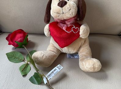 Dog teddy and rose
