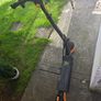 Scooter Image 5