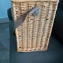 Picnic Basket Image 8