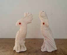Vintage italian cockatoos