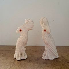 Vintage italian cockatoos
