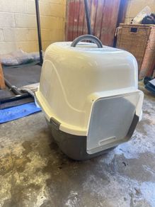 cat litter box