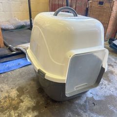 cat litter box