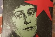 Terrible Beauty: A Life Of Constance Markievicz by Diana Norman