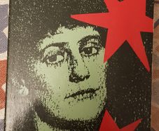 Terrible Beauty: A Life Of Constance Markievicz by Diana Norman