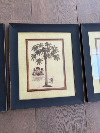 set of three prints