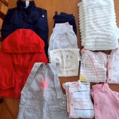 Baby girls clothes bundle 12-18mths