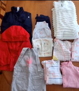Baby girls clothes bundle 12-18mths