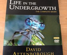 DVD - Life in the Undergrowth - Complete Series - 2 Discs