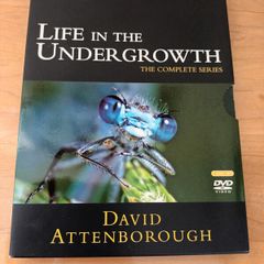 DVD - Life in the Undergrowth - Complete Series - 2 Discs