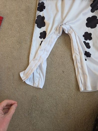 Paw Patrol Halloween Costume