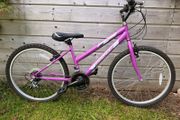 DMC Excel Kids bike